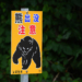 Japan Deploys Troops to Battle Deadly Surge in Bear Attacks