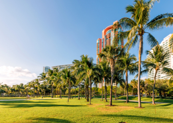 Police: Miami Woman Accused of Machete Attack on Boyfriend After Heated Argument