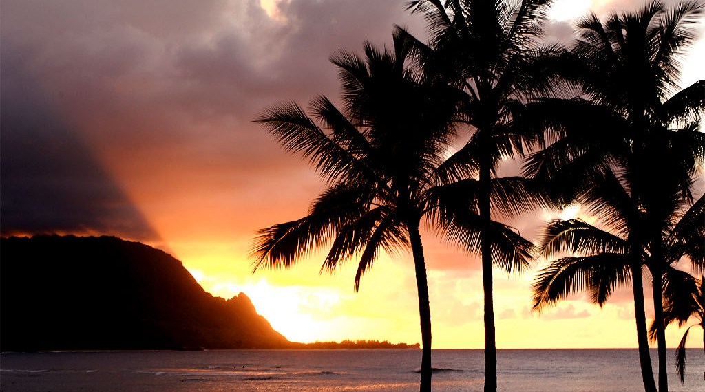 Hawaiian Beach Shut Down After Surfer Bitten by Shark in Hanalei Bay