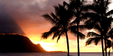 Hawaiian Beach Shut Down After Surfer Bitten by Shark in Hanalei Bay