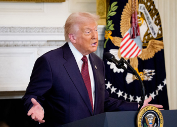 Trump Elevates Anti‑DEI Advocate Andrea Lucas to Chair of EEOC