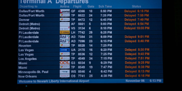 FAA Orders Flight Cuts Amid Shutdown, Leaving Hundreds of Travelers Stranded