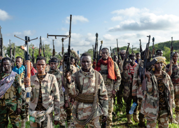 Investigation Claims Minnesota Tax Dollars Funneled to Al-Shabaab Through Fraud Schemes