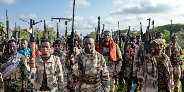 Investigation Claims Minnesota Tax Dollars Funneled to Al-Shabaab Through Fraud Schemes