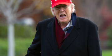 Trump Claims High Poll Numbers 