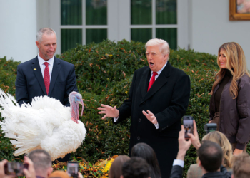 Gobble and Waddle Escape the Dinner Plate in White House Turkey Pardon