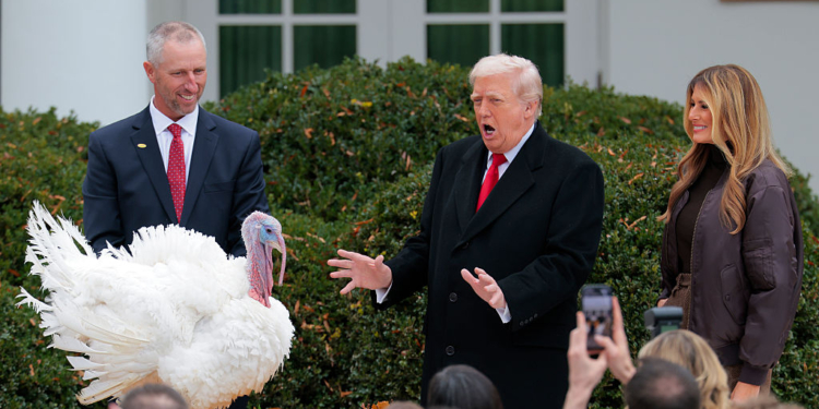 Gobble and Waddle Escape the Dinner Plate in White House Turkey Pardon