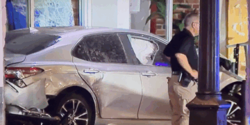 Speeding Driver Slams into Tampa Bar, Killing Four and Injuring 11