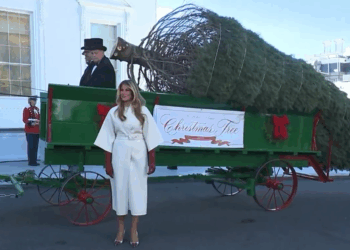 Melania Trump Welcomes White House Christmas Tree as Holiday Season Begins