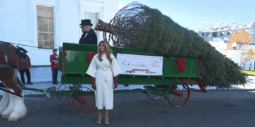 Melania Trump Welcomes White House Christmas Tree as Holiday Season Begins