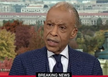 Al Sharpton Wastes No Time Blaming Trump For National Guard Shooting