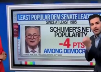 CNN’s Harry Enten Runs Through Horrific Numbers For Chuck Schumer