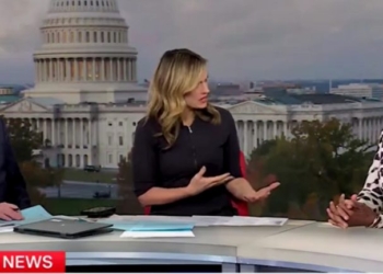 Democrat Admits Epstein Was Pulling Her Strings