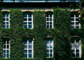 Ivy League School Forced To Fork Over Admissions Data, $30 Million To Trump Admin