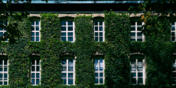 Ivy Leagues Face Reality: No-Test Admissions Led To Fewer High-Achieving Applicants