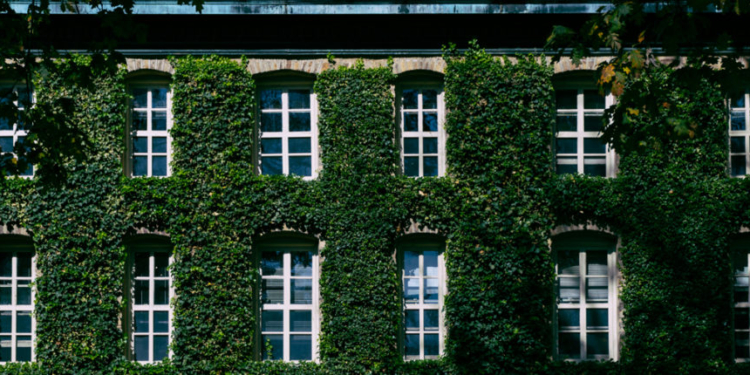 Ivy Leagues Face Reality: No-Test Admissions Led To Fewer High-Achieving Applicants