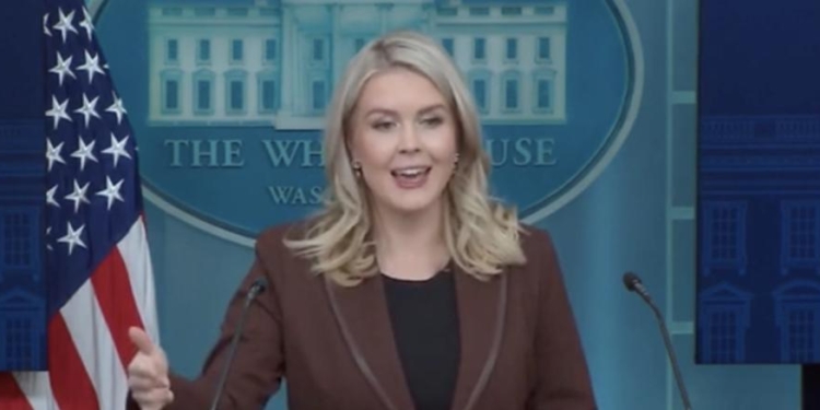 Karoline Leavitt Accuses Democrats Of Shutting Government Down To Fix Healthcare Mess They ‘Created’