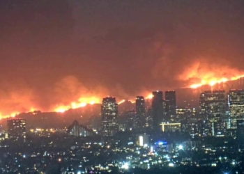 Palisades Fire Survivors Left To Die Amid Chaotic Evacuations Blast Newsom And Bass