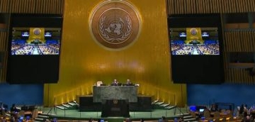 SAMUEL PETERSON: Human Prosperity, Carbon Taxes, And The UN