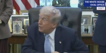 Trump Lets World Know What He Thinks About Seattle’s Incoming Socialist Mayor