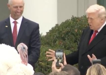 Trump Says He Saved Turkeys From Being Deported To Notorious Foreign Prison In Hilarious Moment