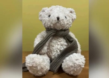 Watchdog Group Issues Report On Teddy Bear