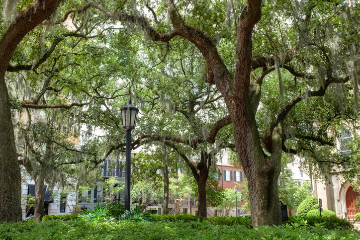 Savannah Woman Suffers Devastating Acid Attack, FBI Offers Reward as Hunt Intensifies