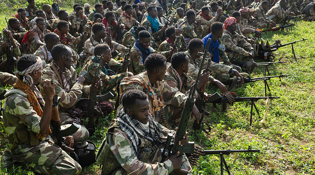 Treasury Opens Federal Investigation into Claims Minnesota Tax Dollars Reached Al-Shabaab