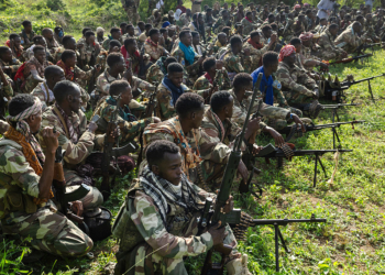 Treasury Opens Federal Investigation into Claims Minnesota Tax Dollars Reached Al-Shabaab