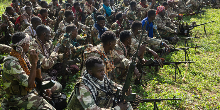 Treasury Opens Federal Investigation into Claims Minnesota Tax Dollars Reached Al-Shabaab