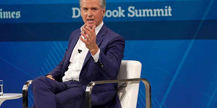 Musk, Newsom Trade Barbs in Bitter Family Dispute