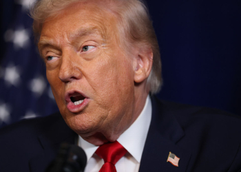 Trump Posts Photo of Dead Falcon: ‘Windmills Are Killing All of Our Beautiful Bald Eagles!’