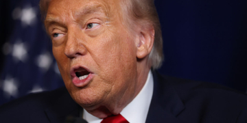 Trump Posts Photo of Dead Falcon: ‘Windmills Are Killing All of Our Beautiful Bald Eagles!’