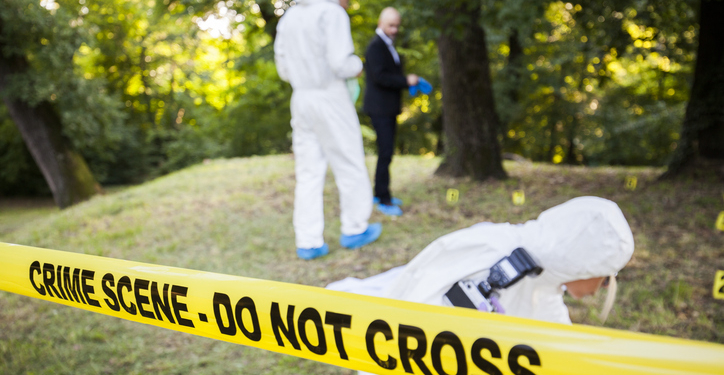 Family Horror in Michigan: Court Records Reveal Shocking Details in Killing of Pregnant Woman