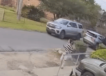 Backlash Grows as New Orleans Confronts Impact of Federal Immigration Sweep