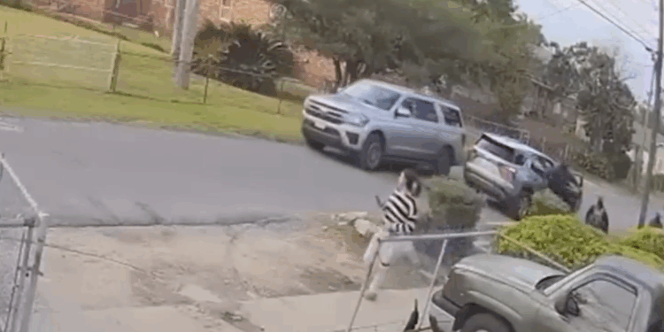 Backlash Grows as New Orleans Confronts Impact of Federal Immigration Sweep