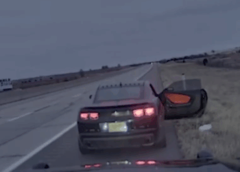 Highway Stop Takes Surprising Turn as Trooper Delivers Baby Before Ambulance Arrives