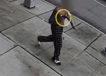 Gunman Shot Dead After Waving Pistol at Seattle Pedestrians