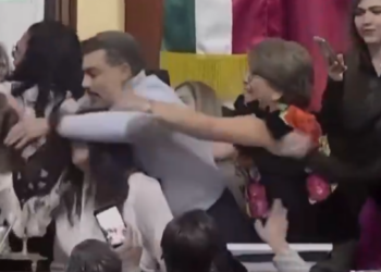 Watch: Mexican Congress Erupts into Hair-Pulling Brawl Over Transparency Reforms