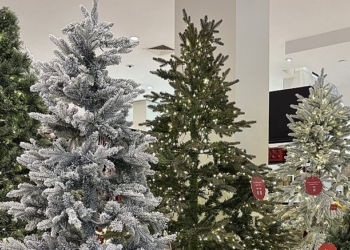 Americans Turn To Fake Christmas Trees Despite Tariffs Hiking Prices