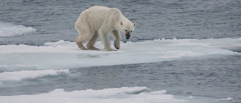 Climate Doomsday Prophecy Peddled By Academia Retracted In Disgrace