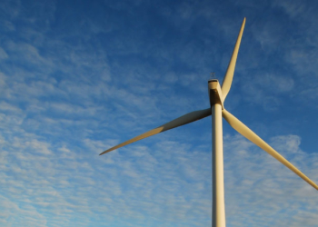 Clinton-Appointed Judge Rules Trump Cannot Block New Wind Farms