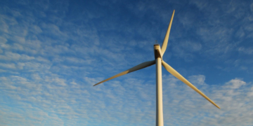 Clinton-Appointed Judge Rules Trump Cannot Block New Wind Farms