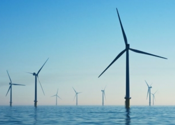 Enviros Beloved Offshore Wind Farms Might Warm Oceans, Study Finds