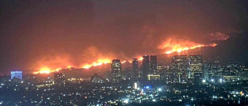 Los Angeles Fire Captain Reportedly Prioritized Saving Endangered Plants Over Stopping Fire