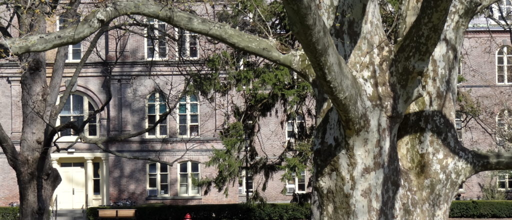 Student Group Wants To Learn From Marxist Terrorist Org’s ‘Example’