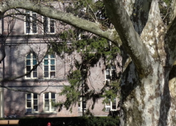 Student Group Wants To Learn From Marxist Terrorist Org’s ‘Example’