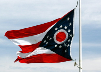 Whistleblower Warns Massive Somali Fraud Happening In Third State As Cascade Of Exposure Powers On