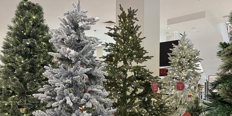 WILL SELLERS: Christmas Casts Long Shadow