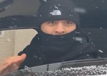 Watch: ICE Agent Clashes With Activists During St. Paul Arrest of Alleged Child Sex Offender